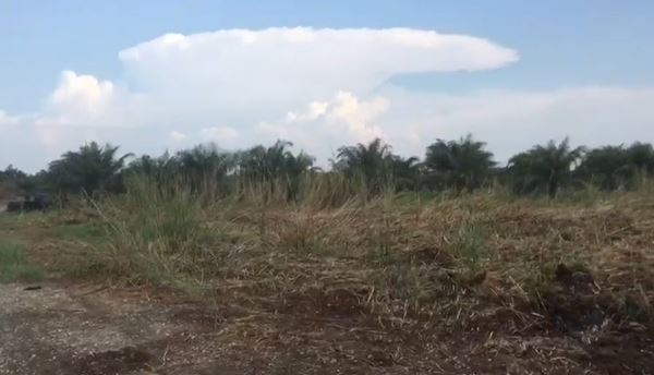 ขายที่ดินเปล่า 23-0-11 ไร่ จังหวัดนครศรีธรรมราช อำเภอร่อนพิบูลย์ เหมาะสำหรับทำการเกษตร